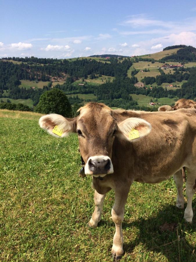 Ferienwohnungen Weixler Schindelberg Oberstaufen Eksteriør billede